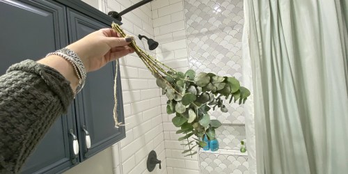 Why I Have Eucalyptus Hanging In My Shower