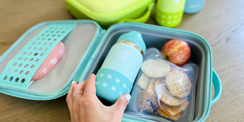 Hydro Flask Kids Insulated Lunch Box Only $19.99 on Target.com (Reg. $40)
