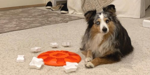Outward Hound Dog Puzzle Toy Only $5 on Amazon or Walmart.com (Regularly $17)