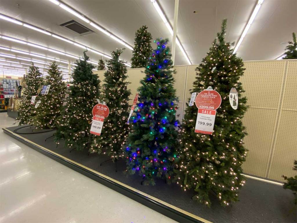 christmas trees on display in a store