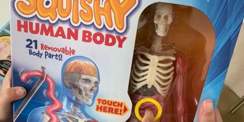 10 Amazon Best Sellers in School Supplies | Squishy Human Body Just $8.99