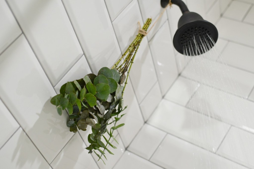 steam shower with hanging eucalyptus