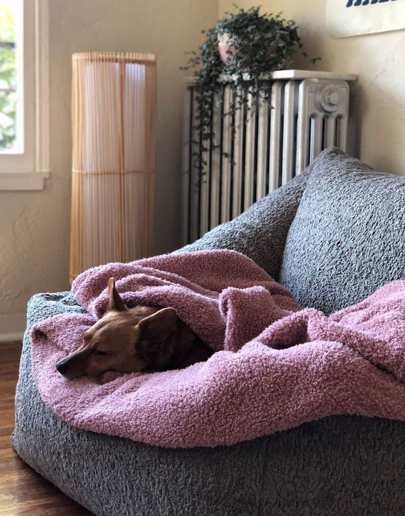 Save 100 With This Barefoot Dreams Blanket Dupe Hip2Save