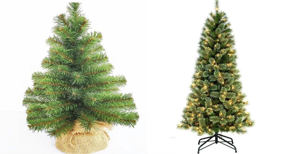 two Christmas trees