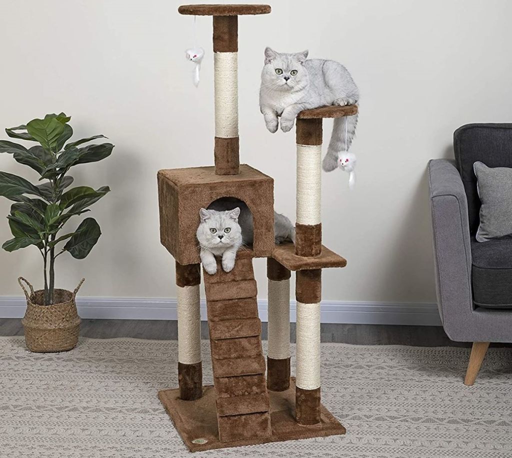 cats on a cat tree