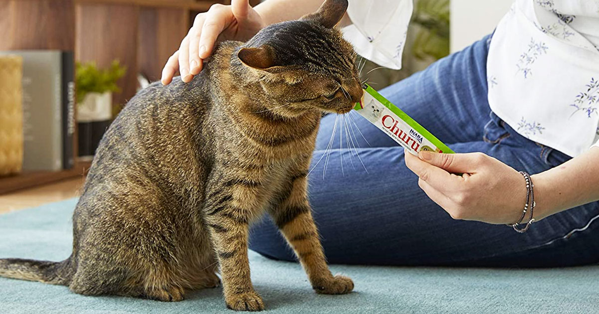 woman sitting on floor feeding a cat a liquid cat treat from a squeeze tube and petting the cat with her other hand