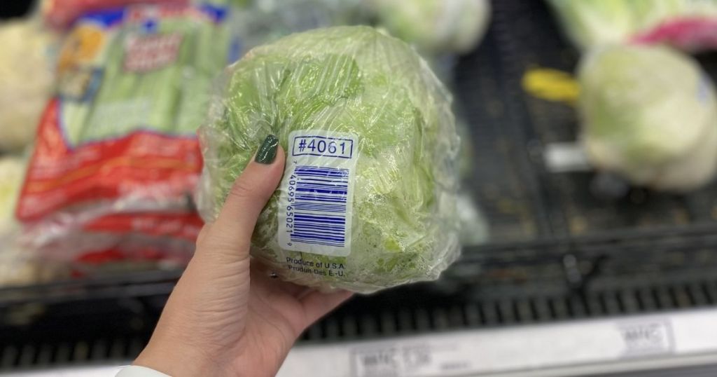 hand holding a head of lettuce