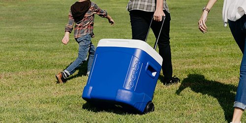 Igloo 60-Quart Wheeled Cooler Just $24 on Amazon | Thousands of 5-Star Reviews