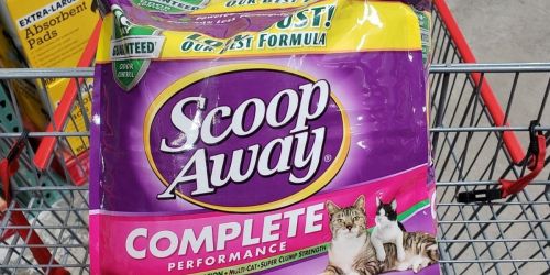 3 Scoop Away Cat Litter 42LB Packs Only $33 Shipped on Chewy.com (Just $11 Each)