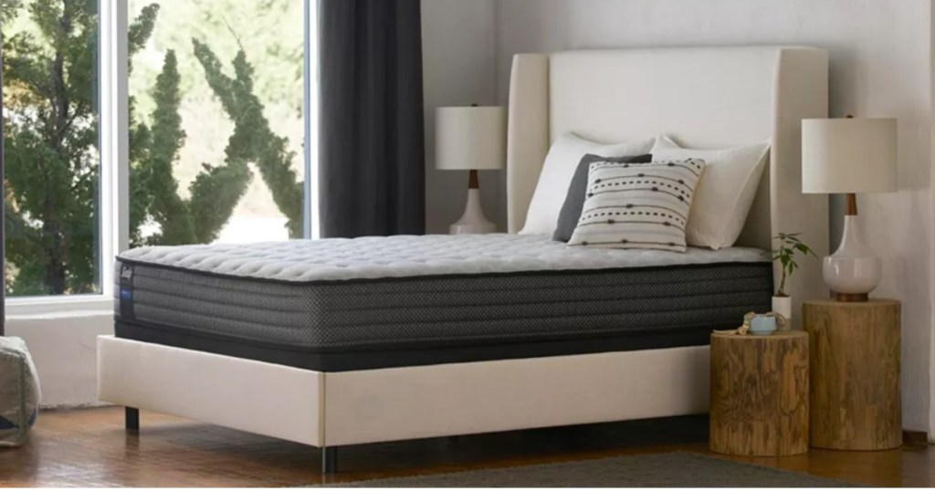 sealy chase pointe ltd queen mattress