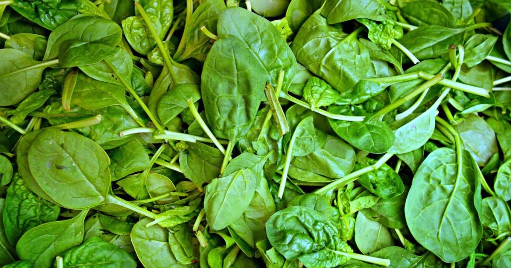 pile of spinach