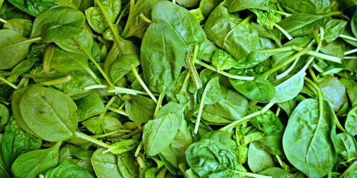 Baby Spinach Recalled Due to Potential Salmonella Contamination