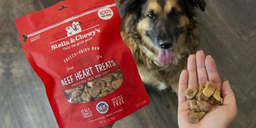 30% Off Stella & Chewy’s Raw Dog Treats on Amazon