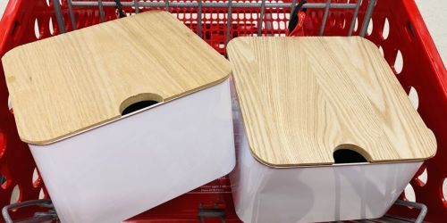 Target Has Fun Storage Containers for Just $5 in Bullseye’s Playground