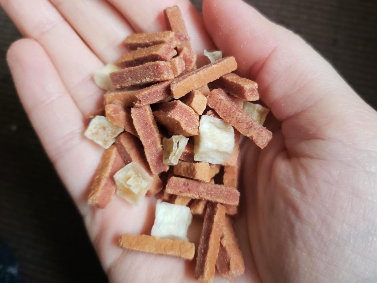 true chews meal makers