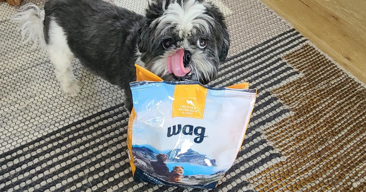 dog standing on rug behind bag of dog food