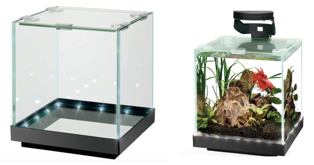 cube lit fish tank