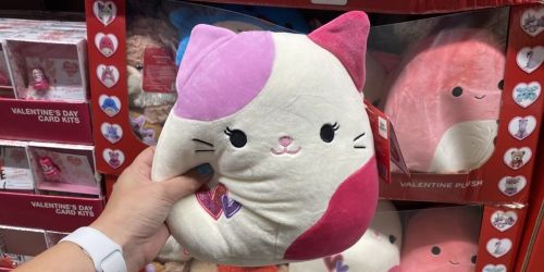 13 Valentine’s Day Items We Love at ALDI | Squishmallows Only $3.99