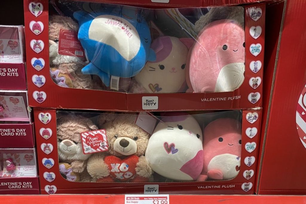 13 Valentine's Day Items We Love at ALDI | Squishmallows Only $