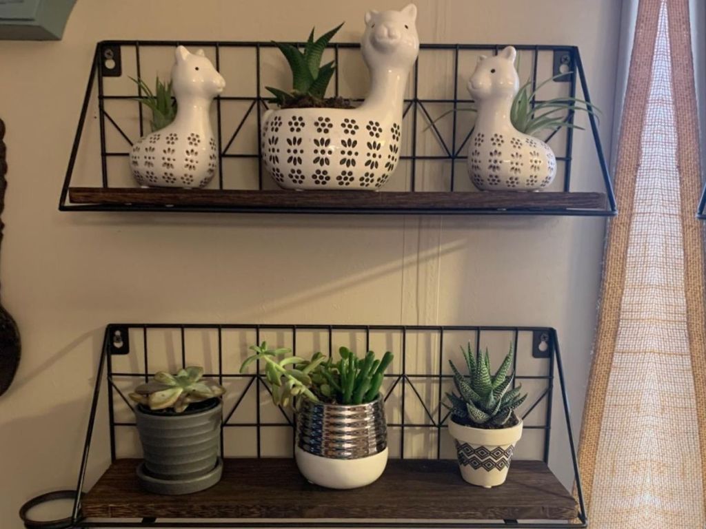 two floating shelves with plants on them