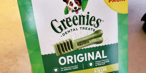 Greenies Dental Dog Treats from $16.58 Shipped for Amazon Prime Members (Regularly $33+)