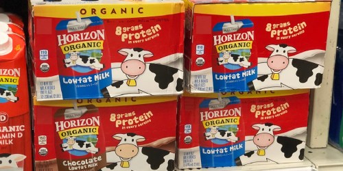 Horizon Organic Milk Cartons 18-Pack Only $10.62 Shipped on Amazon | Just 59¢ Each