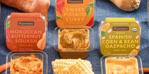 50% Off Lil’ Gourmets Organic Baby Food at Target | Awesome Reviews