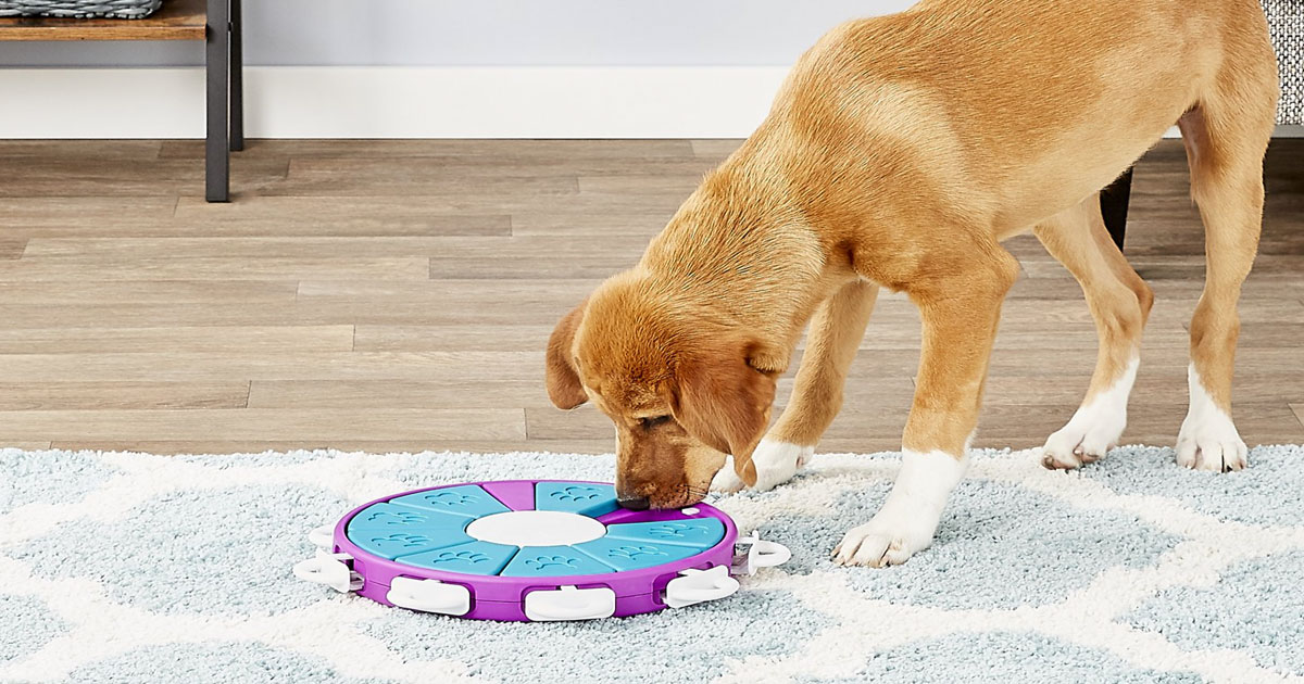 Dog Treat Dispenser Puzzle Toy Only $13.83 on Amazon ...