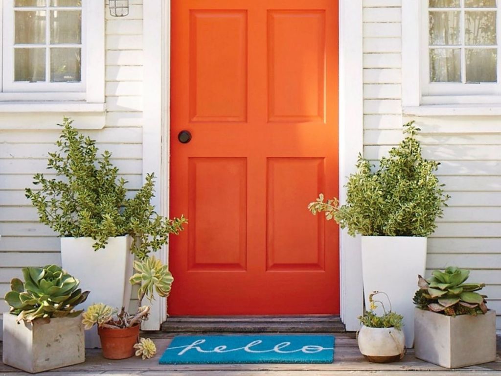 front door with potted plants and doormat
