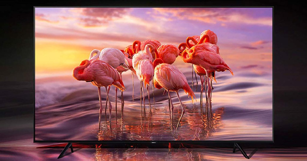 TV with pictures of flamingos on it