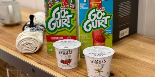 Up to 70% Off Yogurt at Target | Siggi’s, Yoplait Go-Gurt, & Icelandic Provisions