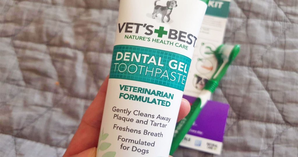 can i use regular toothpaste for dogs