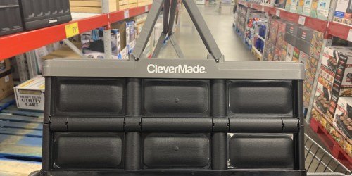 Clevermade Collapsible Crate Only $8.98 at Sam’s Club | Stackable & Folds Flat!