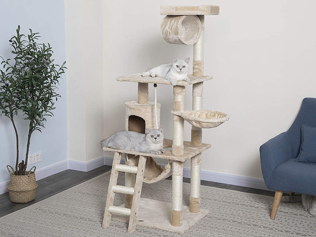 cats on beige cat tree