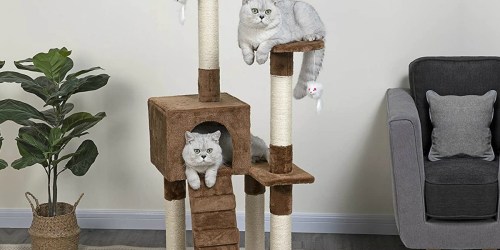 52″ Cat Tree + Nature Miracle Stain & Odor Eliminator Just $37.90 Shipped on Amazon (Regularly $59)