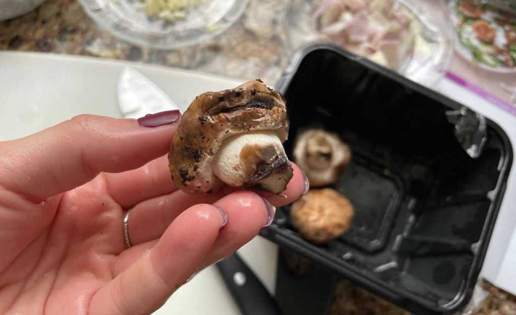 hand holding a rotten mushroom