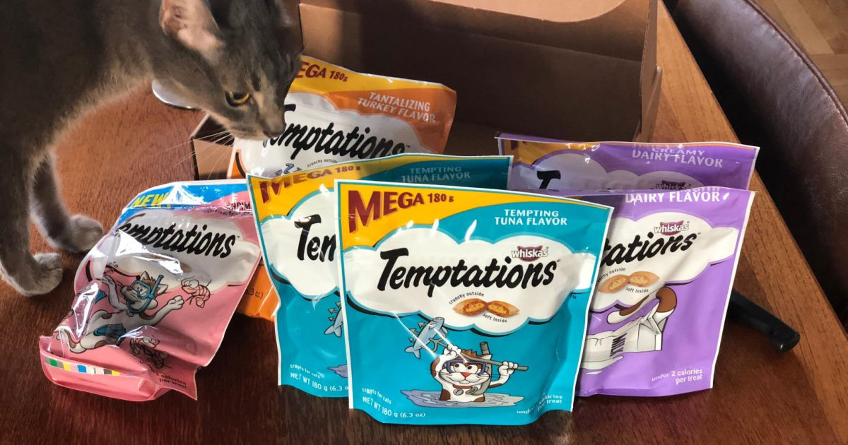 temptations cat treats large bag