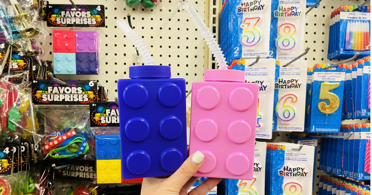 Pink LEGO Water Bottle Reviews 2024