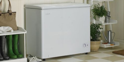 $100 Off Chest Freezers + Free Delivery for Costco Members