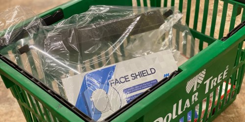 Protective Face Shields Just $1 at Dollar Tree