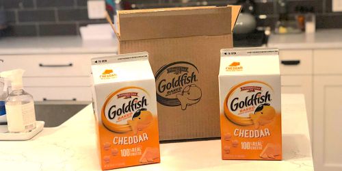 2 BIG Pepperidge Farm Goldfish Cartons Only $8.62 Shipped on Amazon | Great for School Lunches