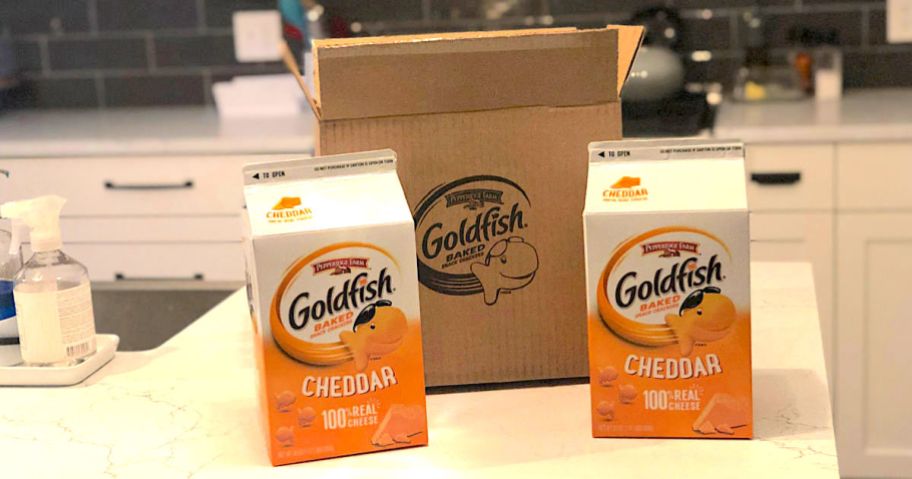 Large cartons of Goldfish Crackers on kitchen counter