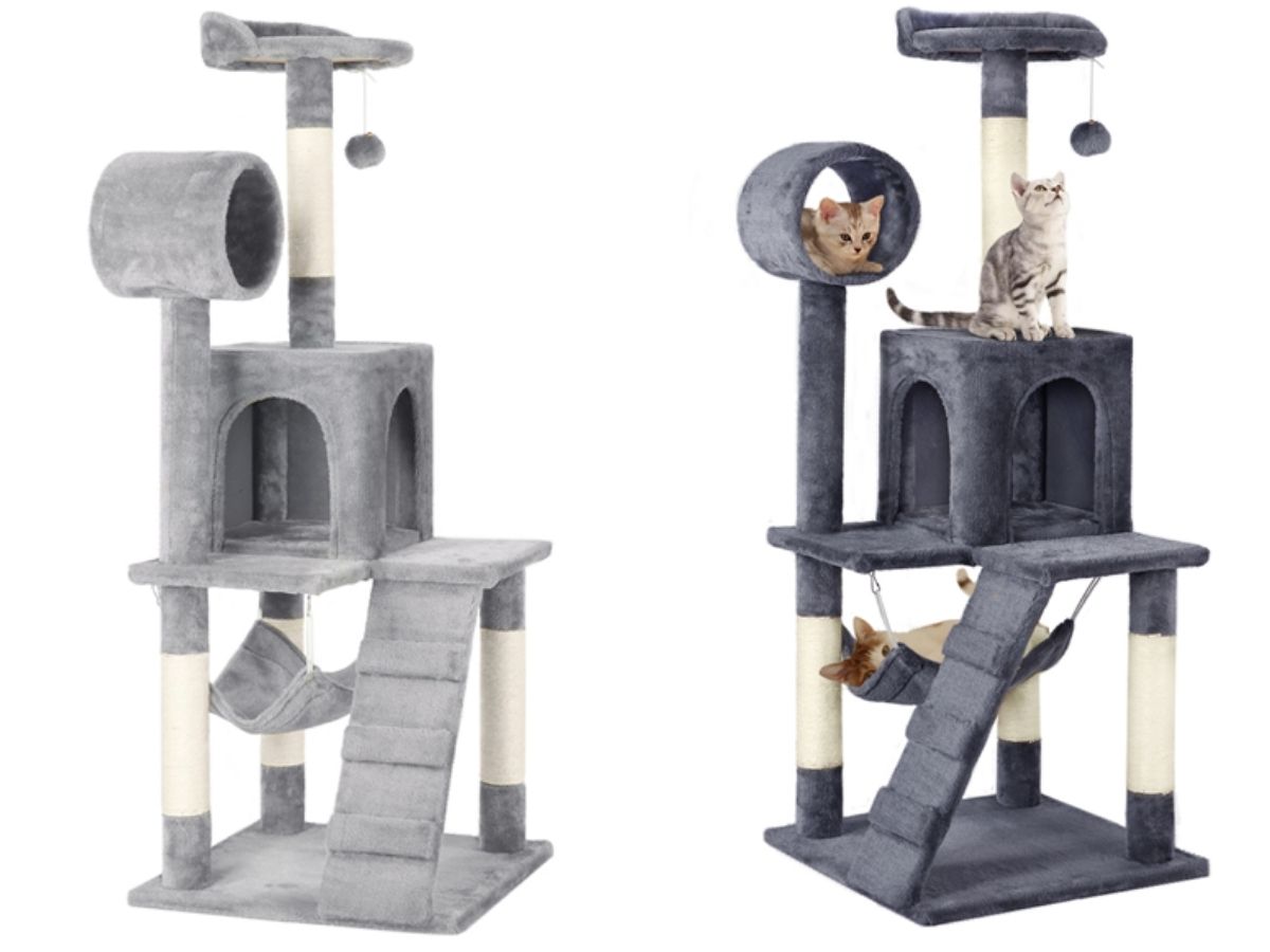 cat scratching post big w