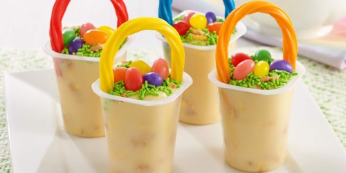 Snack Pack Pudding Cups 48-Count from $9 Shipped on Amazon