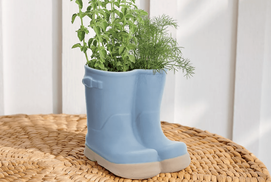 boots planter