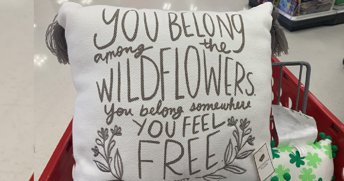 cupcake pillow target