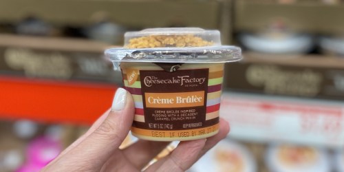The Cheesecake Factory Mix-In Desserts Only $1.69 at ALDI