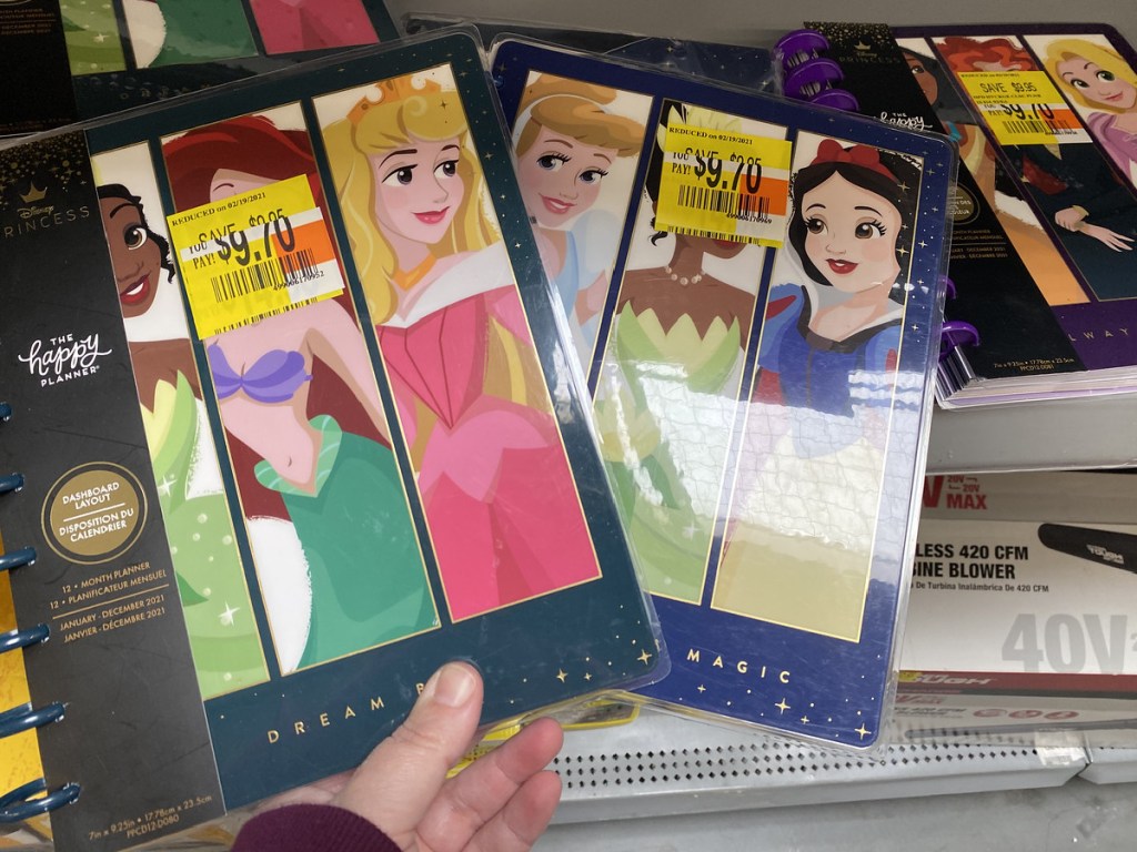 The Happy Planner Disney Princess 12Month Planners, Stickers, & More