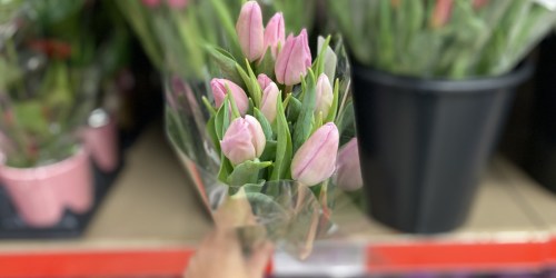 Valentine’s Day Bouquets, Plants & Succulents from $3.99 at ALDI