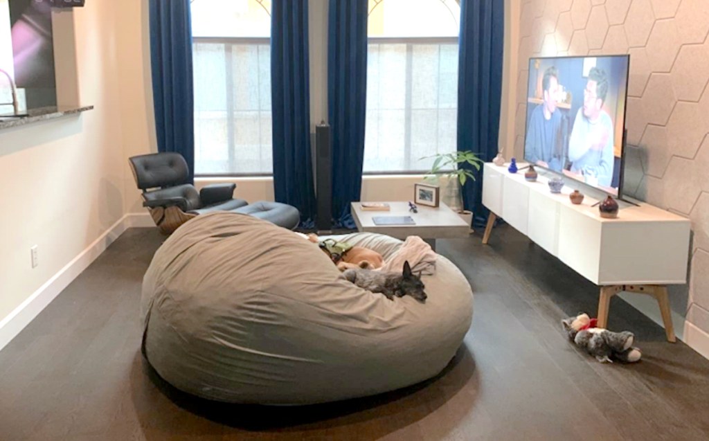 large gray bean bag sitting on empty living room wood floor with tv and large windows
